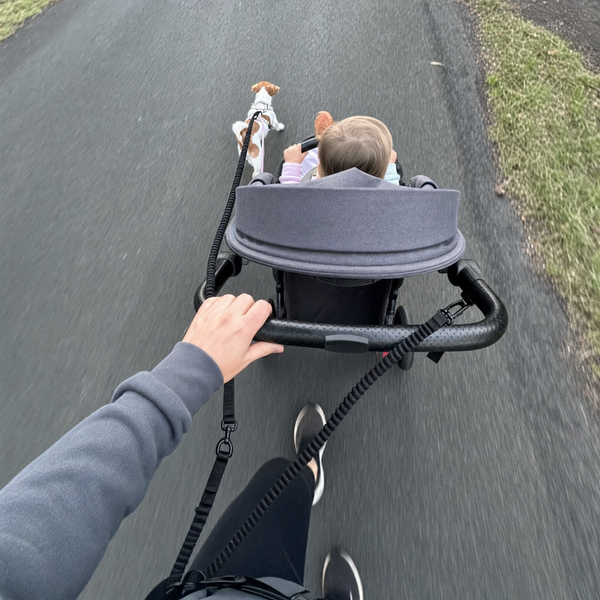 Barnvagn + hund fungerar äntligen